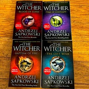 The Witcher series books
